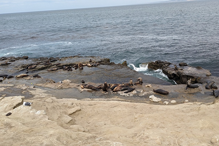 ラ・ホヤ（La Jolla）