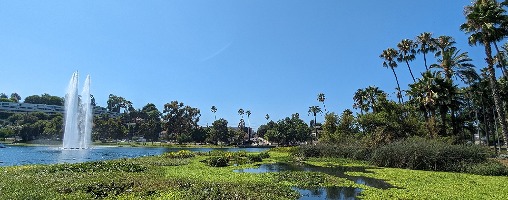 エコパーク(ECHO PARK)のおすすめ観光スポット10選