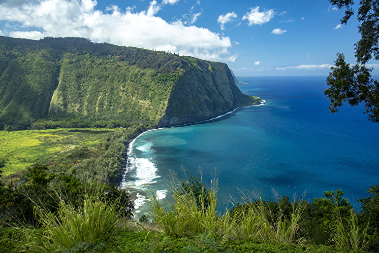 ワイピオ渓谷展望台/Waipio Valley