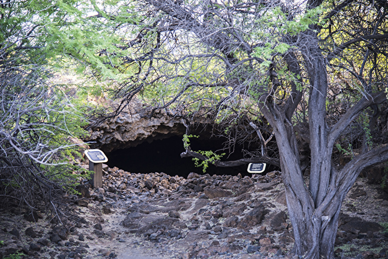 カラフイプアア歴史公園/Kalahuipua’a Historical Park