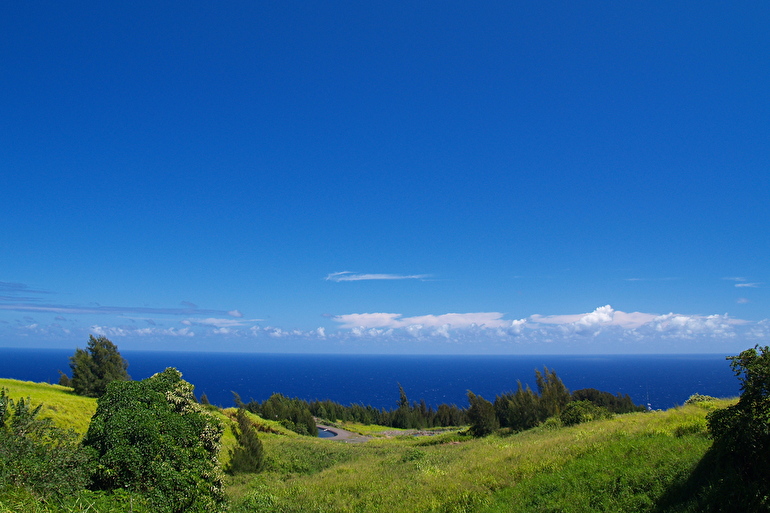 森林地帯のハマクア・コースト/Hamakua Coast