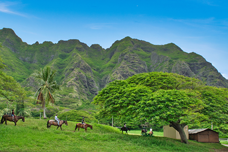 クアロア牧場 / Kualoa Ranch