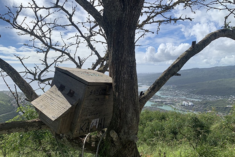 Prayer Box(プレイヤーボックス)