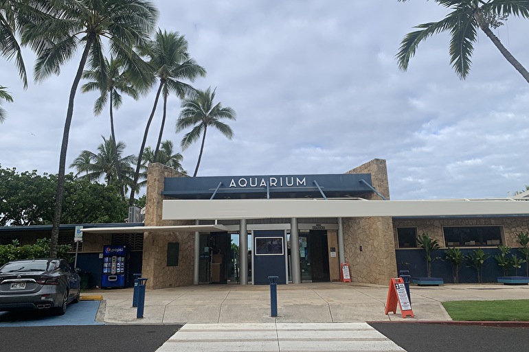 ワイキキ水族館の公式情報